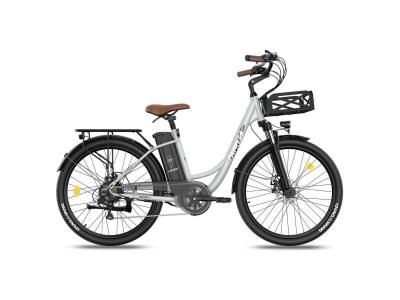 FAFREES V&eacute;lo &eacute;lectrique F26 Lasting - Moteur 250W Batterie 36V20.3Ah Assisted Autonomie 160KM Frein &agrave; Disque M&eacute;canique - Gris