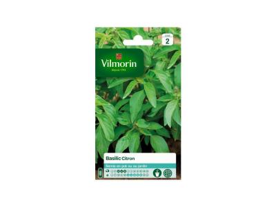 VILMORIN  5873342 Pack de Graines Basilic Citron