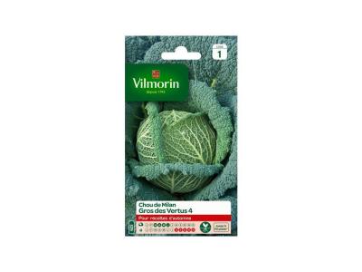 VILMORIN Chou de Milan gros des vertus  2 g
