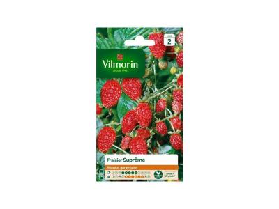VILMORIN  3585042 Pack de Graines Fraisier 4 Saisons Supr&ecirc;me