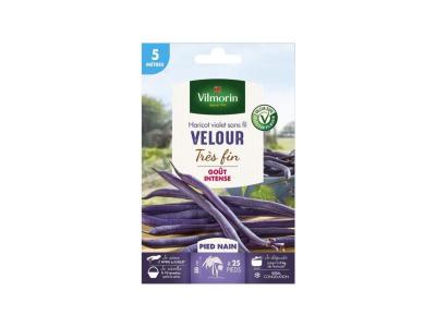 VILMORIN  Graines de haricot velour gousse violette - 5 M