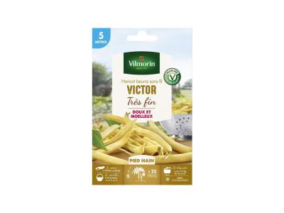 VILMORIN  - Haricot Beurre sans fil VICTOR tr&egrave;s fin ( 5 m&egrave;tres )