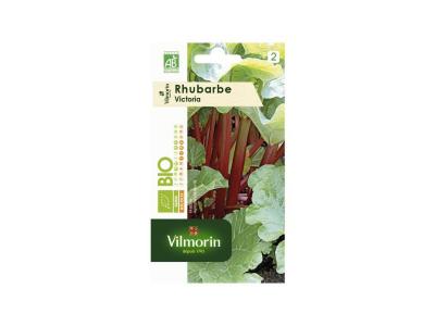 VILMORIN Sachet graines Rhubarbe Victoria Bio - Rheum rhabarbarum