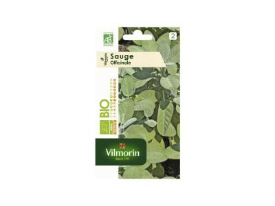 VILMORIN  Sachet graines Sauge Officinale Bio - Salvia officinalis