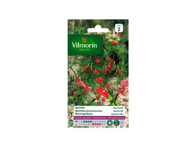 VILMORIN  Ipom&eacute;e Quamoclit &agrave; petites fleurs &eacute;carlates