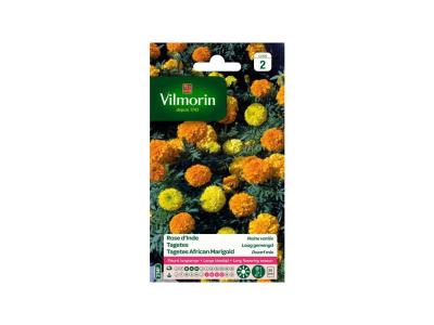 VILMORIN  - Sachet graines Rose d'inde naine vari&eacute;e