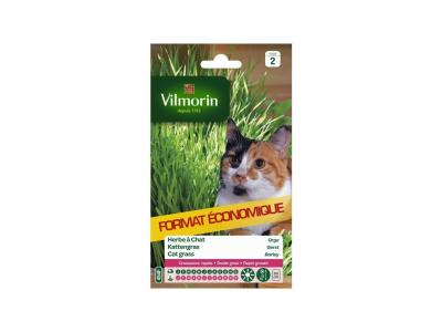 VILMORIN  5876839 Herbe &agrave; Chat orge, Vert, 11 x 1.5 x 19 cm