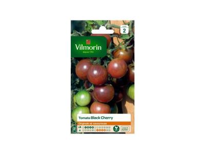 VILMORIN  Tomate Black Cherry Sachet de graines