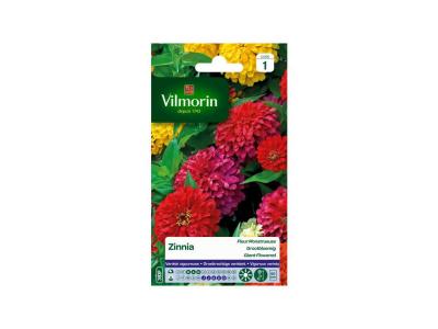 VILMORIN  - Zinnia &agrave; Fleurs Monstrueuses Vari&eacute;es en Sachet