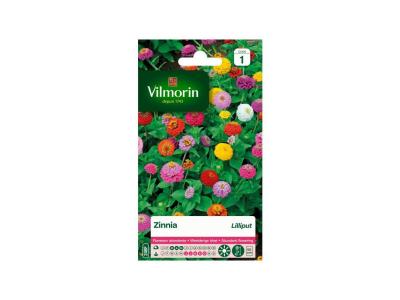 VILMORIN  Zinnia Lilliput varie
