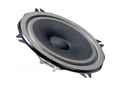VISATON Full-range speaker 13 cm (5)  2061