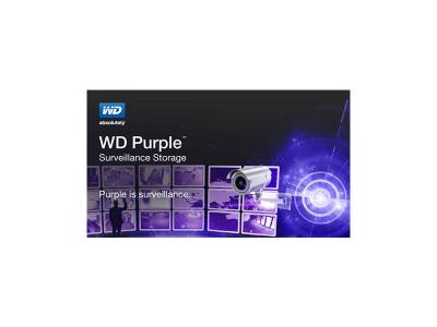 WESTERN DIGITAL  WD Purple 3.5 8000 Go S&eacute;rie ATA III