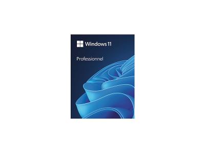 MICROSOFT Windows 11 Pro - Licence perp&eacute;tuelle - 1 poste - A t&eacute;l&eacute;charger