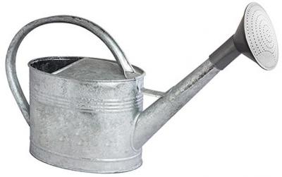 GUILLOUARD  - Arrosoir acier galvanis&eacute; avec pomme 6 litres