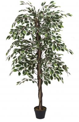 THE HOME DECO FACTORY  - Plante artificielle feuillage panach&eacute; 160 cm