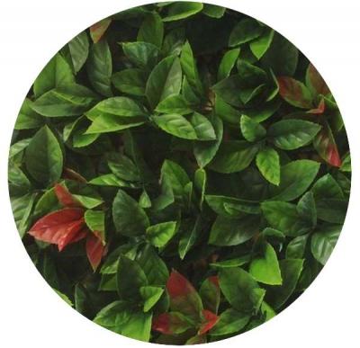 JET7GARDEN Plaque carr&eacute;e red robin dentel&eacute;  - Vert - 12 x 50 cm x 50 cm