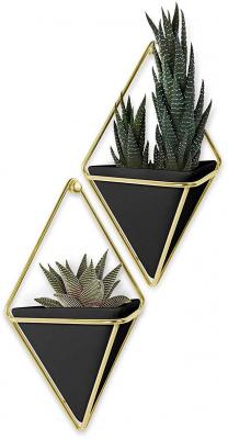 UMBRA  - Support &agrave; plantes mural Trigg (Lot de 2) - Noir