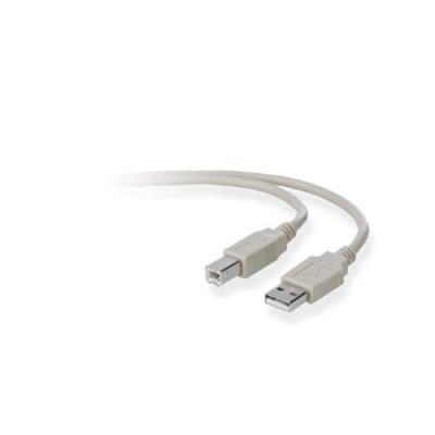 BELKIN  C&acirc;ble USB 4 broches - Type A (m) et Type B (m) - 3 m