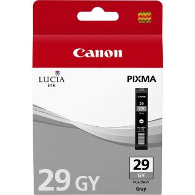 CANON Cartouche  4871B001 PGI-29 - Gris