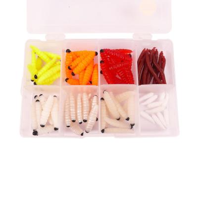 CAPERLAN ESCHE PECHE DE LA TRUITE EN ETANG AUX APPATS PACK ASSORTIMENT TEIGNES 8C