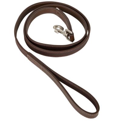 SOLOGNAC Laisse chien cuir 900