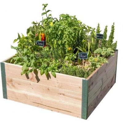 MON PETIT POTAGER Carr&eacute; potager  Design 0818 l.75 x H.36 cm