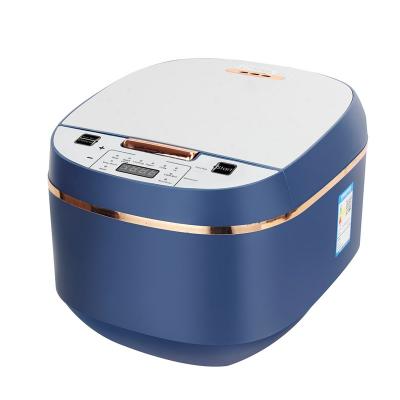 DAM ELECTRONICS Cuiseur &agrave; riz &eacute;lectrique &agrave; chaleur tridimensionnelle et 900w.