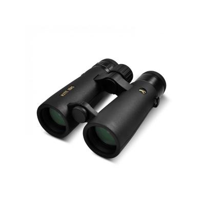  Jumelles kite ibis ed 7 x 42