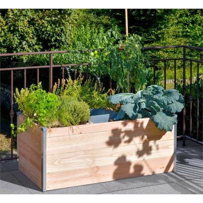 MON PETIT POTAGER Carr&eacute; potager en bois avec composteur Keyhole garden