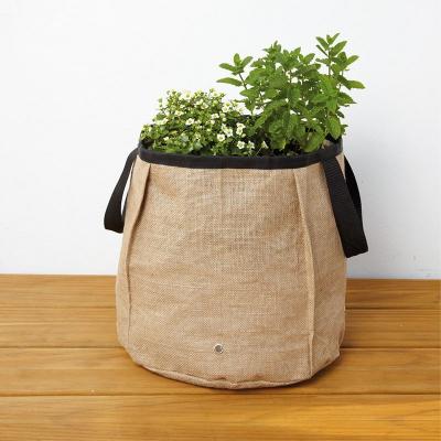 INNOVAXE Sac &agrave; plantation pour terrasse