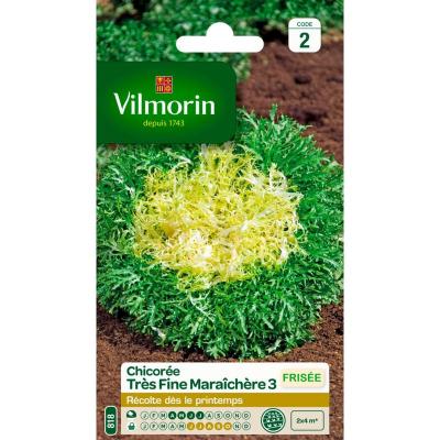 VILMORIN Chicor&eacute;e fris&eacute;e tr&egrave;s fine mara&icirc;ch&egrave;re 3 