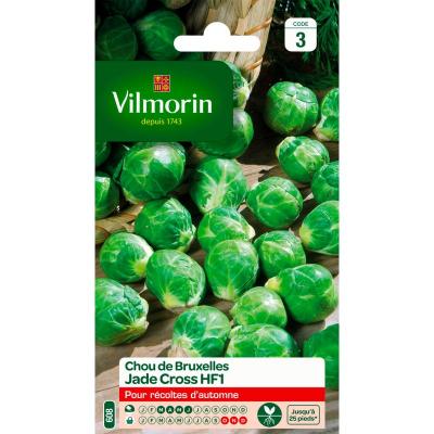 VILMORIN  - Chou de Bruxelles Jade Cross HF1 (remplace Content)