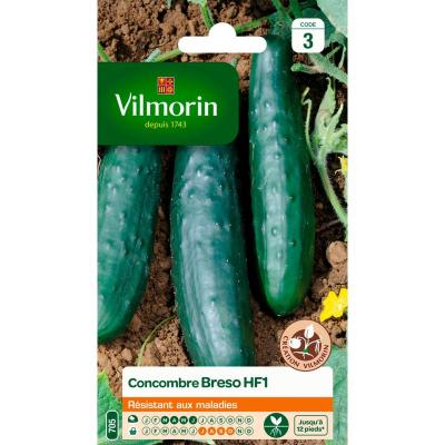 VILMORIN  - Sachet graines de Concombre Breso HF1