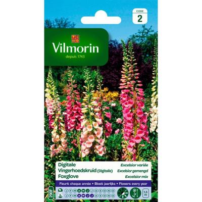 VILMORIN Digitale Excelsior Vari&eacute;e 