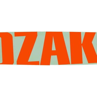 OZAKI Guide cha&icirc;ne 0.050" 1,3 mm 3/8"LP 