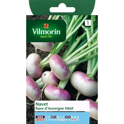 VILMORIN  - Sachet graines Navet rave d'auvergne h&acirc;tif