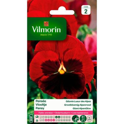 VILMORIN  Sachet graines Pens&eacute;e g&eacute;ante Lueur des Alpes