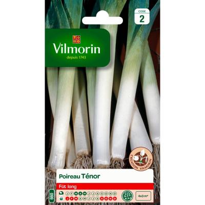 VILMORIN Poireau tenor 'obtention '