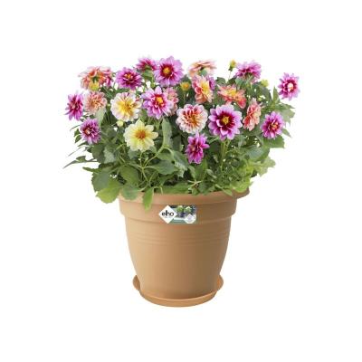 ELHO Gb soucoupe 29 tc doux 