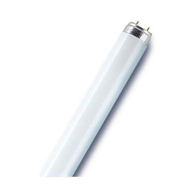 Tube fluorescent G13 15 W blanc froid forme de tube 1 pc(s)