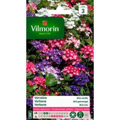 VILMORIN  - Sachet graines Verveine Brio vari&eacute;e
