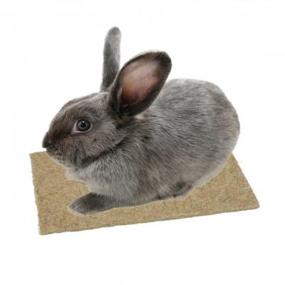 KERBL  Tapis en chanvre - 40 x 25 cm - Pour rongeur