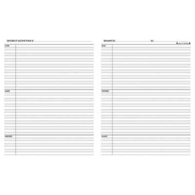 LE DAUPHIN  L'agenda scolaire de l'&eacute;l&egrave;ve, 170X220, 39 semaines, 72 pages