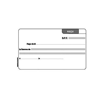 LE DAUPHIN  Carnet de re&ccedil;us 