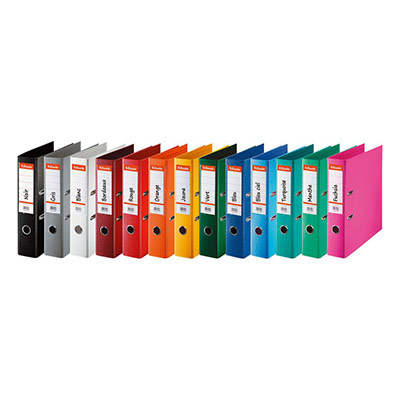 ESSELTE 10 classeurs &agrave; levier  coloris assortis classique