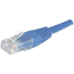 DEXLAN  Cordon reseau patch UTP CAT 6 3 m Bleu