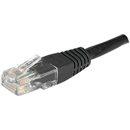 DEXLAN C&acirc;ble RJ45 CAT 6 ECO U/UTP - Noir - (0,3m)