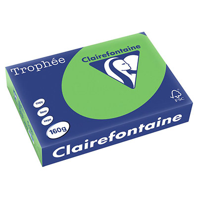 CLAIREFONTAINE Ramette papier couleur  A4 160g - Vert menthe