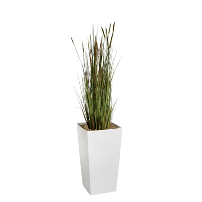 Plante artificielle d'int&eacute;rieur Zanichellie