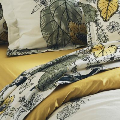 TRADILINGE Drap coton brut Toco Vert  240 x 310 cm